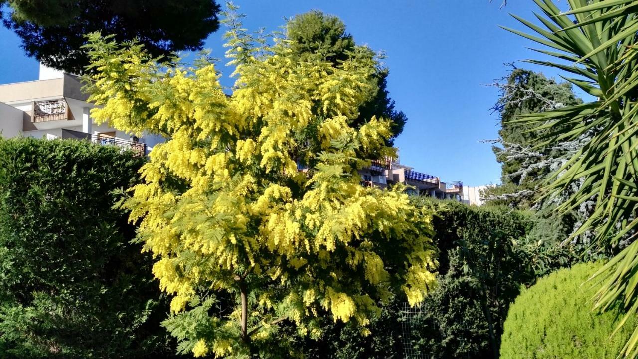 Villa Mary Trani Exterior foto